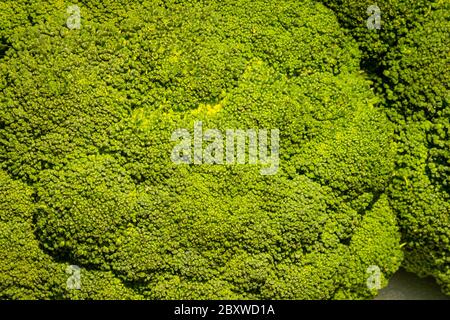 Broccoli visto da vicino Foto Stock