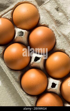 Uova crude marrone organiche pronte per cucinare Foto Stock