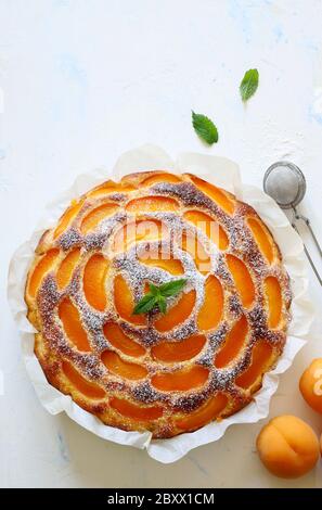 Dolce concetto estivo. Torta di albicocche fatta in casa cosparsa di zucchero in polvere, decorata con foglie di menta su sfondo chiaro. Vista dall'alto. Spazio di copia. Foto Stock