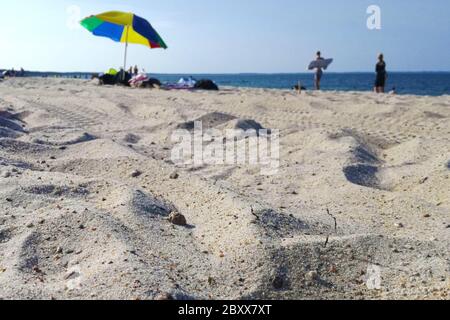 Sandstrand an der Ostsee mit Sonnenschirm und Wasser im Urlaub mit Sonne - Spiaggia di sabbia e mare sullo sfondo gente sfocata Foto Stock