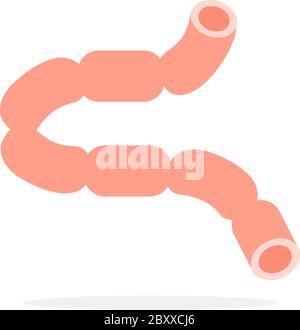 Intestino umano vettore disegno di materiale piano oggetto isolato su sfondo bianco. Illustrazione Vettoriale