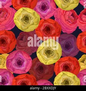 Motivo senza cuciture con ranunculus vivido. Vettore. Illustrazione Vettoriale
