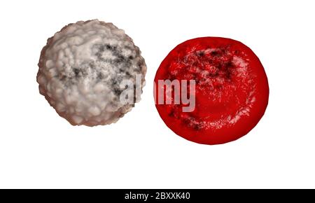 danno, malato globuli rossi concetto di malattia Foto Stock