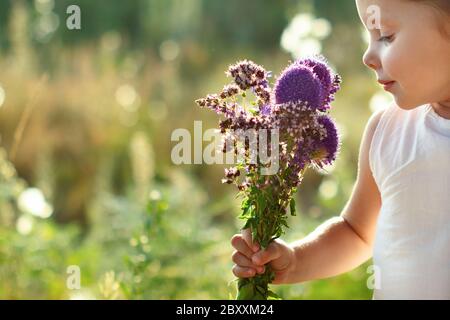 Bambina carina in bianco abito sniffs un mazzo estivo di fiori selvatici Foto Stock