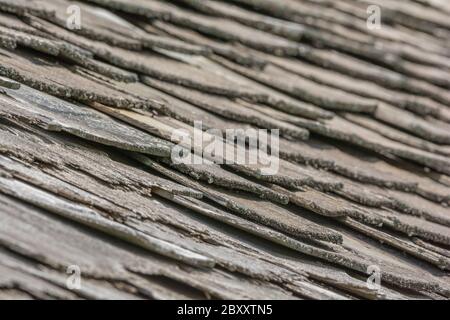 Vento e pioggia hanno danneggiato vecchio legno di mescolamento / legno scuotere tetto in cattiva riparazione, in cattive condizioni, e ha bisogno di sostituzione. Idioma ottenuto un ardesia sciolto, & malattia mentale. Foto Stock