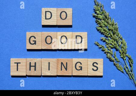 Fare cose buone, parole in lettere alfabetiche in legno 3d con un graminacee fiore isolato su blu Foto Stock