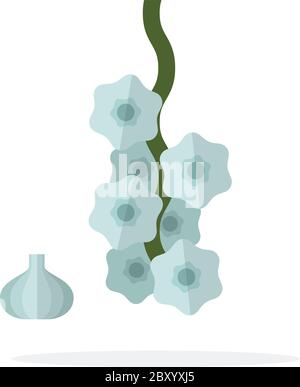 Aglio in un mazzetto e una testa di aglio vicino piatto isolato Illustrazione Vettoriale