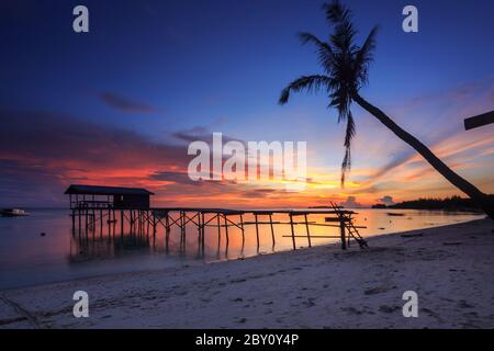 Incredibile splendido tramonto con silhouette di legno e albero di cocco a Mantanani Island, Sabah, Borneo. L'isola di Mantanani ha un lungo tratto di bianco Foto Stock