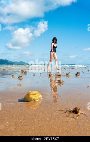 Bassa prospettiva panoramica di primo piano conchiglie e spugne maree basse, cielo blu chiaro e turista femminile in costume da bagno a piedi Mission Beach nel Queensland. Foto Stock