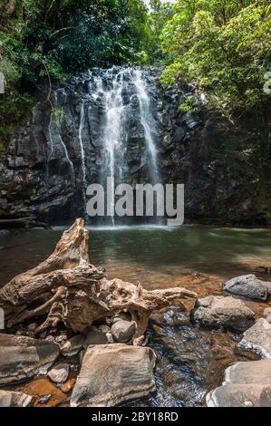 Appartata e maestosa Cascate Ellinjaa a Milla Milla, sulle Atherton Tablelands del far North Queensland in Australia. Foto Stock