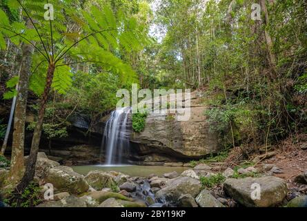 Una lunga esposizione di Serenity Falls e piscina rocciosa alla fine della passeggiata nel bush del Parco della Foresta di Buderim sulla Sunshine Coast nel Queensland sudorientale. Foto Stock