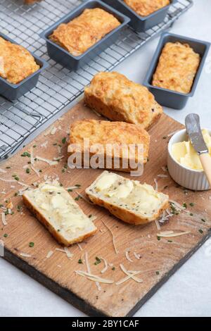 Focaccine di formaggio Cheddar fatte in casa Foto Stock