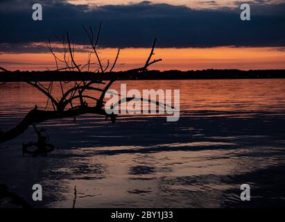 Berlino, Germania. 8 giugno 2020. Il sole tramonta a Wannsee. Credit: Paul Zinken/dpa-zb-Zentralbild/dpa/Alamy Live News Foto Stock