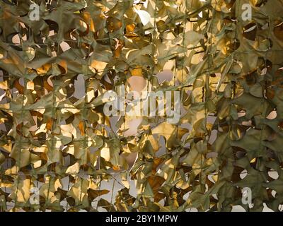 Camuffamento mesh nascosto oggetti militari russi Foto Stock