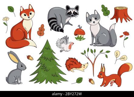Insieme di animali boschivi isolati su sfondo bianco. Illustrazione vettoriale in stile carino cartone animato Illustrazione Vettoriale