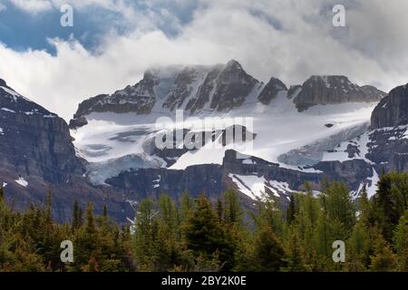 Vista dal Larch Valley Trail Foto Stock