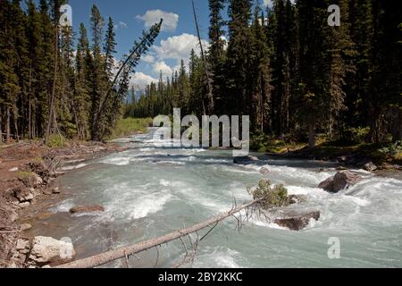 Vista dal circuito del lago di Kananaskis superiore Foto Stock