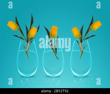 Tre tulipani colorati gialli Foto Stock