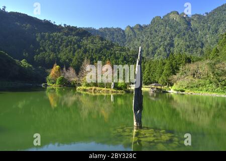 Mingchi National Forest Recreation Area Taiwan Foto Stock