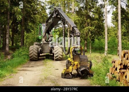 Trattore pesante nella foresta di conifere. Macchina forestale per taglio a lunghezza e per la troncatura di alberi interi. Foto Stock