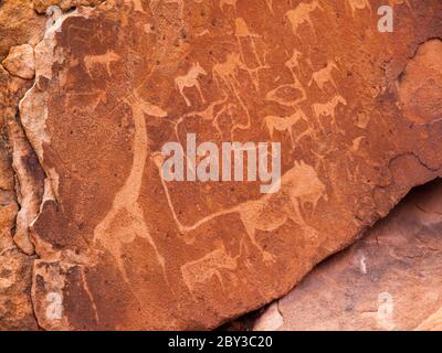 Incisioni preistoriche Boscimane - piatto leone con l'uomo leone e altri animali e simboli, Twyfelfontein, Namibia Foto Stock