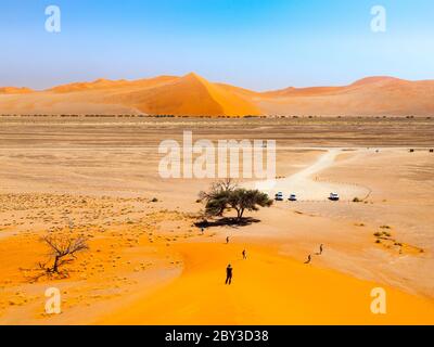 Vista dalla Duna 45 nel deserto del Namib, Namib-Naukluft National Park, Namibia, Africa. Foto Stock