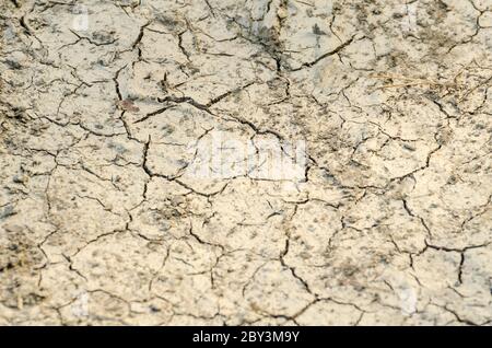 Terreno fangoso asciutto e incrinato a causa della temperatura calda, fango secco, vista ad angolo basso, campagna, Germania Foto Stock