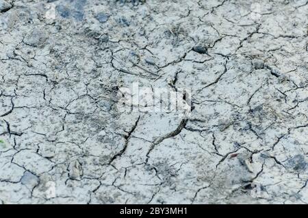 Terreno fangoso asciutto e incrinato a causa della temperatura calda, fango secco, vista ad angolo basso, campagna, Germania Foto Stock