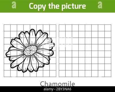 Copia la foto, gioco di istruzione per i bambini, Chamomile Illustrazione Vettoriale