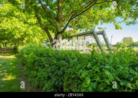 Village parco goalposts visto accatastato e appoggiato contro una siepe situato sul lato di un parco del villaggio Foto Stock