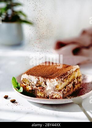 Perfetto torta tiramisù fatta in casa cosparsa di cacao in polvere. Porzione di tiramisù su piastra sopra il piano in marmo bianco con pianta verde in pentola su sfondo. Delizioso tiramisù senza cottura in luce naturale Foto Stock