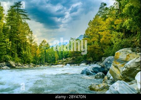 Il fiume Parvati scorre attraverso la foresta con forti correnti, Kasol, Himachal Pradesh India. Foto Stock