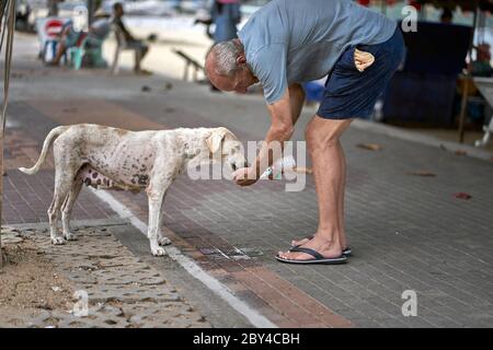 Interazione umana animale. Uomo che condivide la sua bevanda in bottiglia con un cane di strada assetato. Thailandia Sud-est asiatico Foto Stock