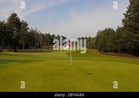 Vista del 14th Green e Fairway sul Red Course, il Berkshire Golf Club, Ascot, Berkshire, Inghilterra Foto Stock