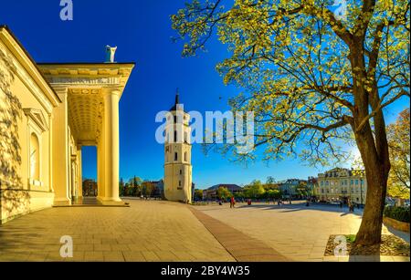 Basilica Cattedrale di San Stanislao e San Ladislao di Vilnius, Lituania Foto Stock