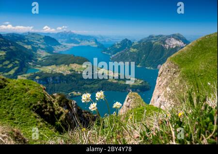 Aussicht van alle fahren sowie über den Vierwaldstättersee, Urnersee und Seelisberg Foto Stock