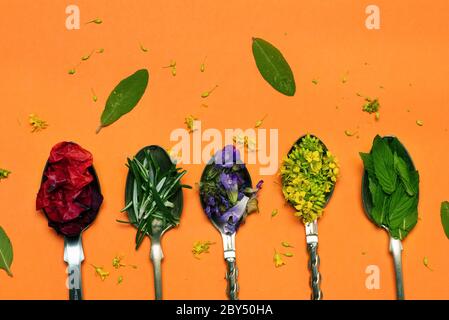 Collezione di fiori di tè in cucchiai su sfondo arancione vista dall'alto Foto Stock