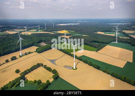 Campo e paesaggio di legno con ruote a vento a Haltern am See, 07.04.2019, vista aerea, Germania, Nord Reno-Westfalia, Haltern am See Foto Stock