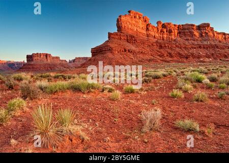 Formazioni rocciose di arenaria all'alba, Valley of the Gods, Bears Ears National Monument, Cedar Mesa, Utah, USA Foto Stock