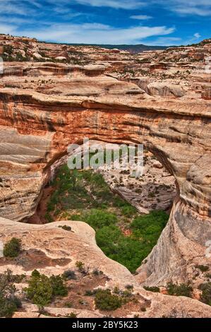 Sipapu Bridge a ponti naturali Nat. Monumento, Utah, Stati Uniti d'America Foto Stock