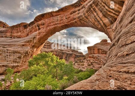 Sipapu Bridge a ponti naturali Nat. Monumento, Utah, Stati Uniti d'America Foto Stock