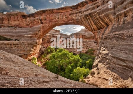 Sipapu Bridge a ponti naturali Nat. Monumento, Utah, Stati Uniti d'America Foto Stock