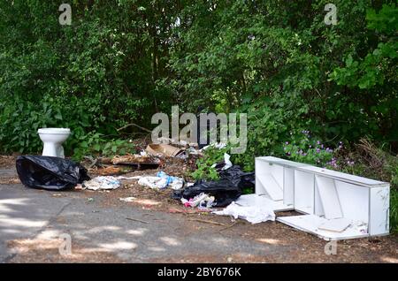 02 giugno 2020, Brandeburgo, Selchow: Una libreria bianca rotta, una ciotola di gabinetto scartata e altri rifiuti sono stati scaricati sul bordo di un percorso forestale. Foto: Soeren Stache/dpa-Zentralbild/ZB Foto Stock