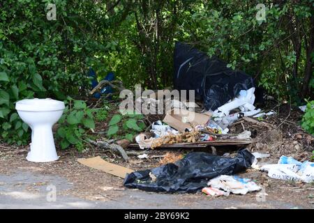 Selchow, Germania. 02 giugno 2020. Una ciotola di gabinetto scartata e altri rifiuti sono stati scaricati sul bordo di un percorso forestale. Credit: Soeren Stache/dpa-Zentralbild/ZB/dpa/Alamy Live News Foto Stock