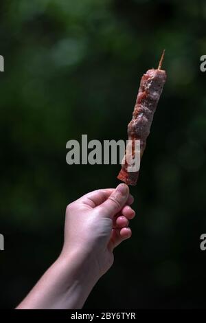 I bambini tengono a mano spiedino greco tradizionale arrosto alla griglia (souvlaki). Spiedini di maiale souvlaki grecia Foto Stock