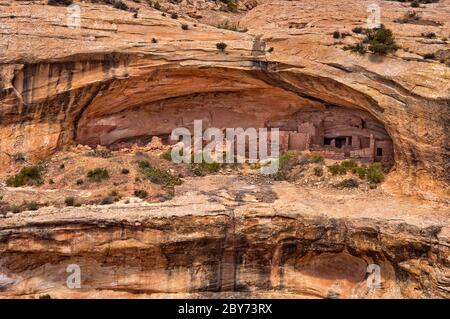 Butler Wash Ruin, sito Anasazi vicino a Blanding, Shash JAA Unit al Bears Ears National Monument, Utah, USA Foto Stock