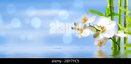 sfondo spa con ocideen e bamboo in blu Foto Stock