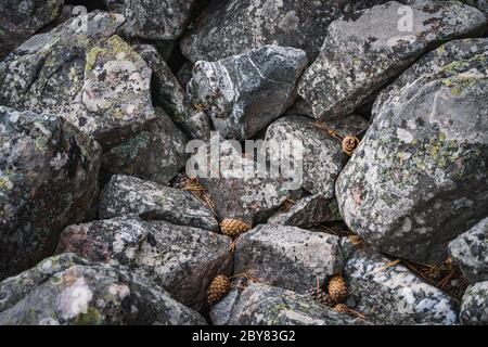 Sfondo di terreno roccioso di grandi pietre quarzite Foto Stock