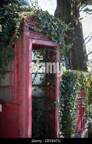 La natura rivendica una scatola telefonica e una scatola postale vicino a Oawkworth, Keighley, West Yorkshire Foto Stock