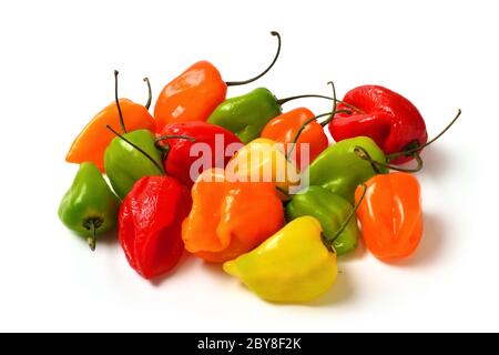Peperoncini piccanti colorati isolati in studio su bianco, in rosso, giallo, arancione e verde Foto Stock